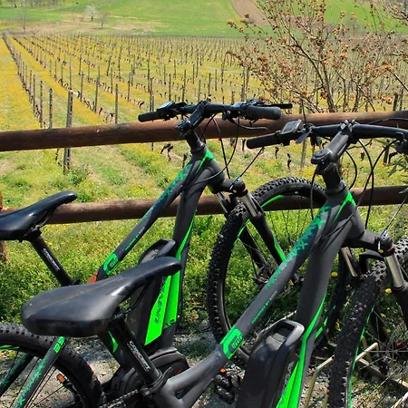 Castello Di 住宿加早餐酒店 San Giorgio Monferrato