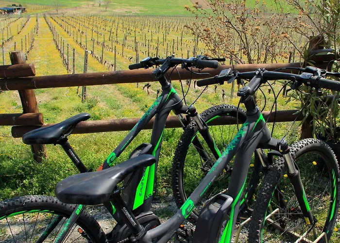 Castello Di Couette-café San Giorgio Monferrato